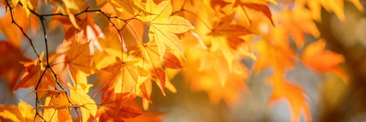 November v ŠKD Cvičelová